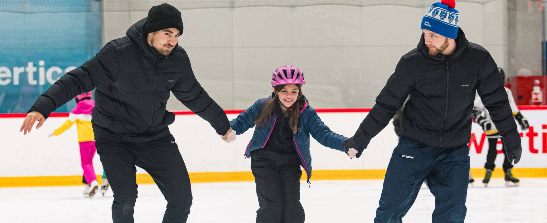  - ICERINK for public
